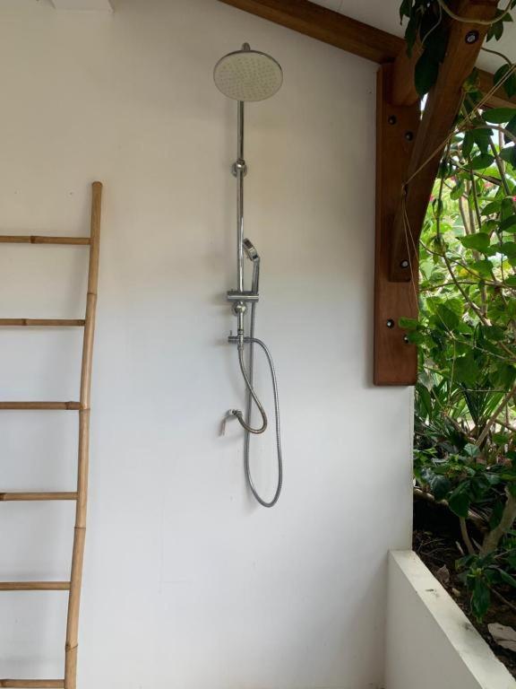 Le Tropical Appartement 1 Ou 2 Chambres Les Anses-d'Arlets Exterior photo